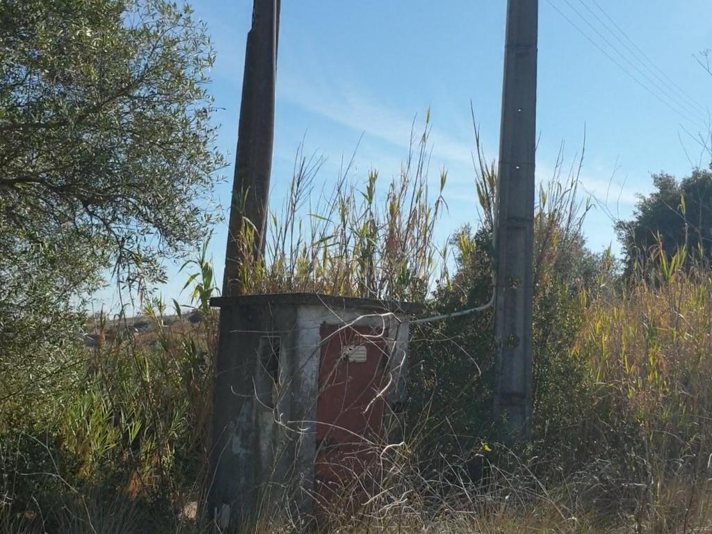 Fantástico e grandioso terreno em Alenquer - Image 5