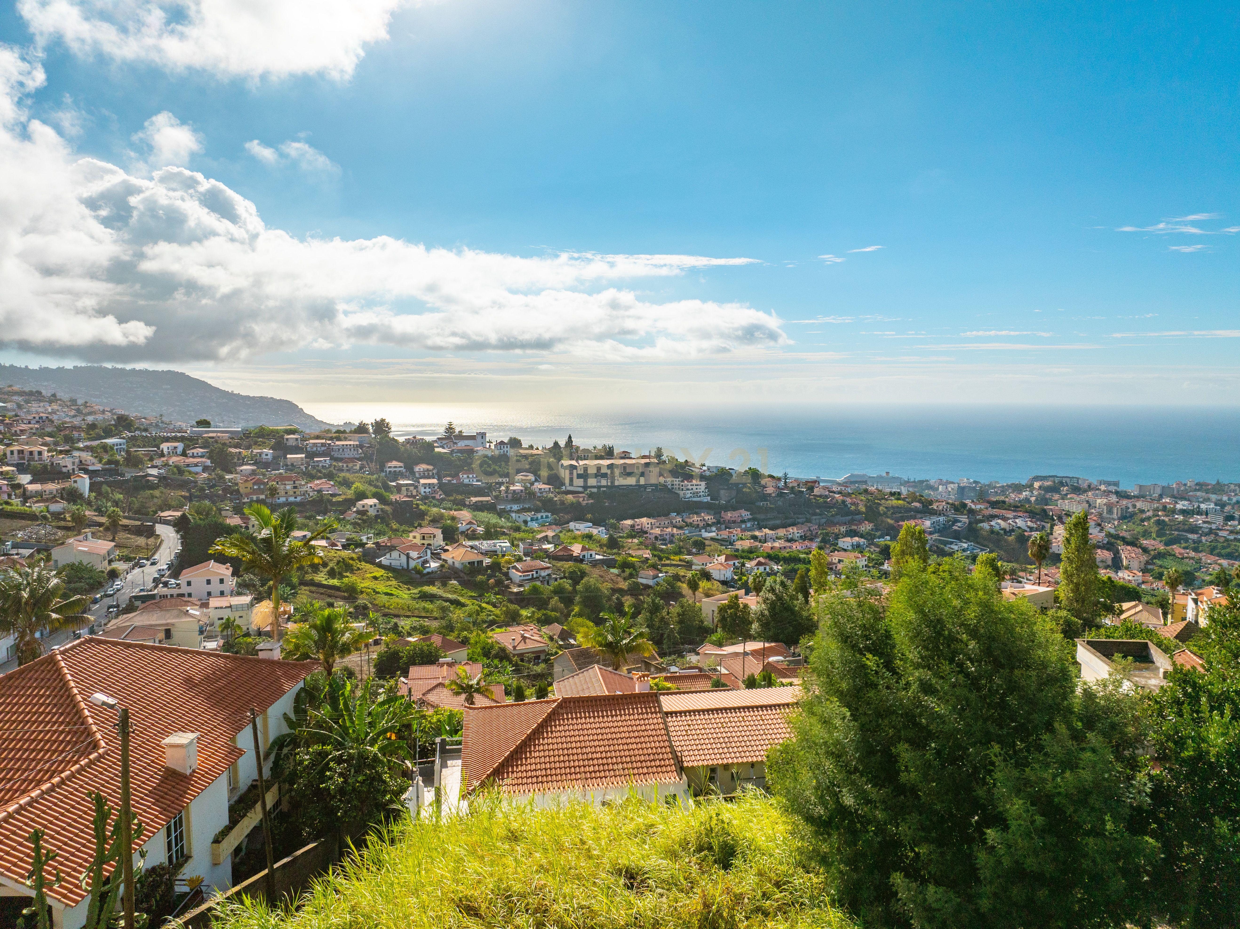Terreno Urbano para Construção - São Roque, Funchal. - Image 5
