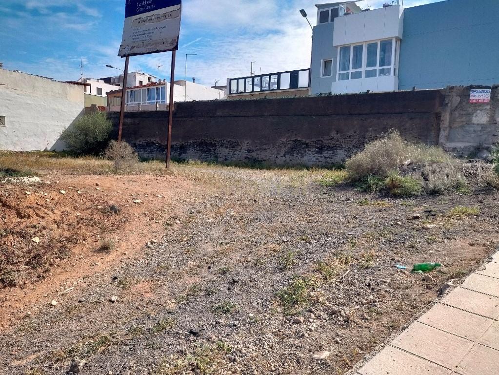 Terreno - Image 4