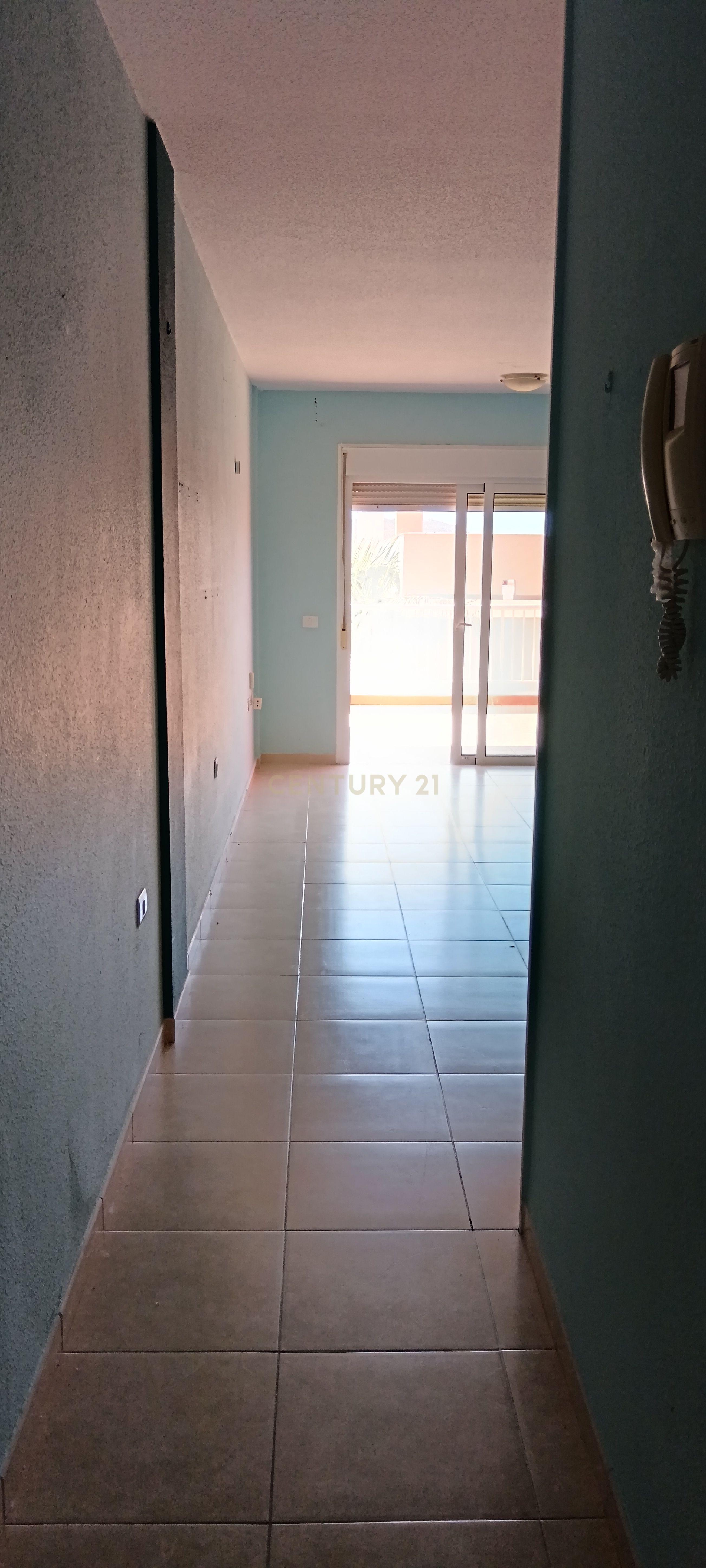 - Image 7