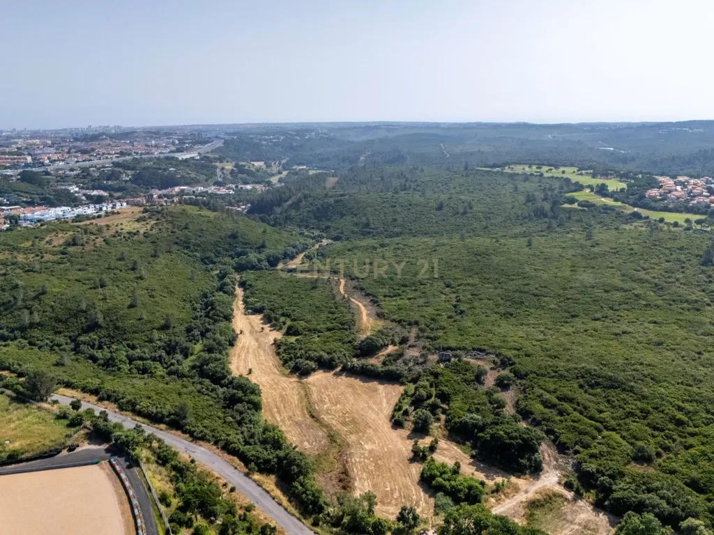 Terreno Rústico com 1120 m2 em Alcabideche - Image 7