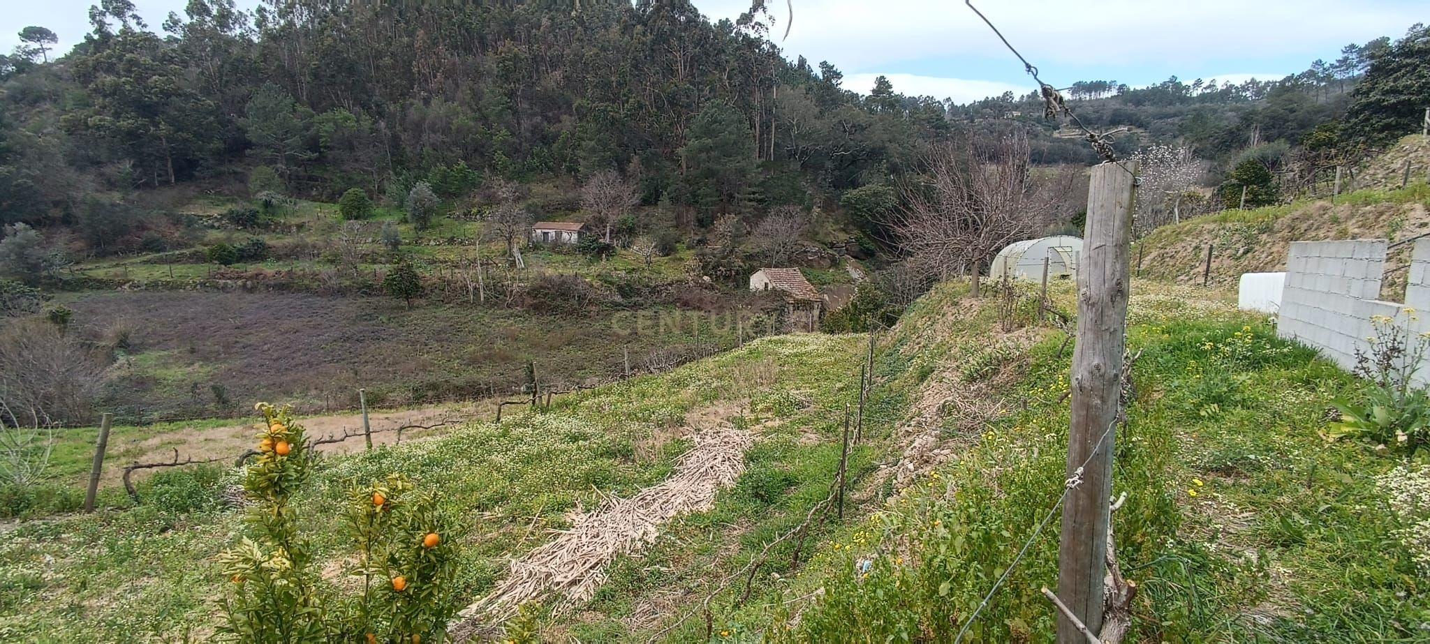 Terreno agrícola com àgua e viabilidade de construção em Granja, S. Tomé de Covelas, Baião, perto do do rio Douro, Porto - Image 34