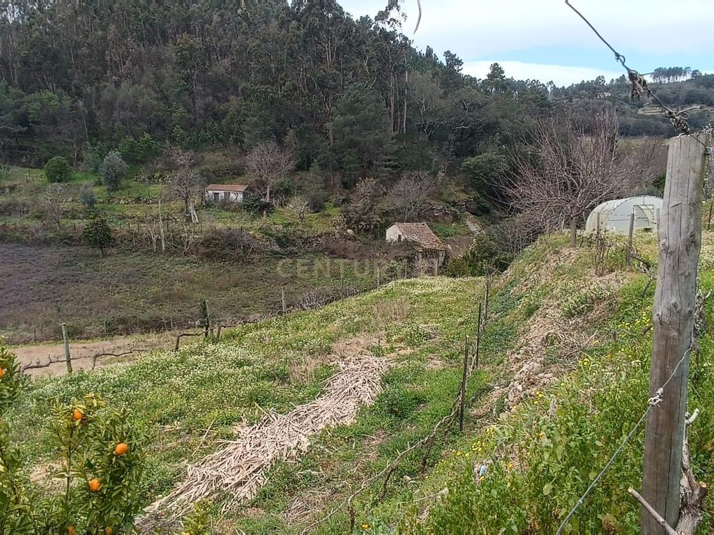 Casa com terreno de construção e agrícola perto do rio Douro em Granja, S. Tomé de Covelas, Baião, Porto - Image 32