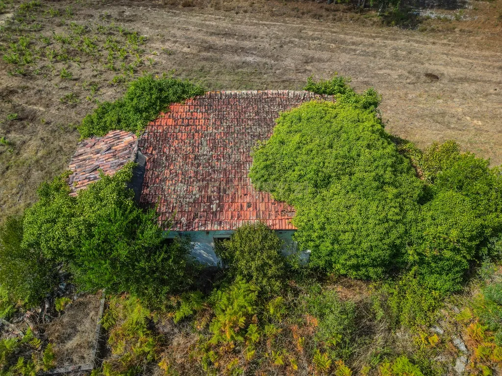 Propriedade com duas casas para reabilitar, terreno e poço na Costeira – Figueira da Foz - Image 16