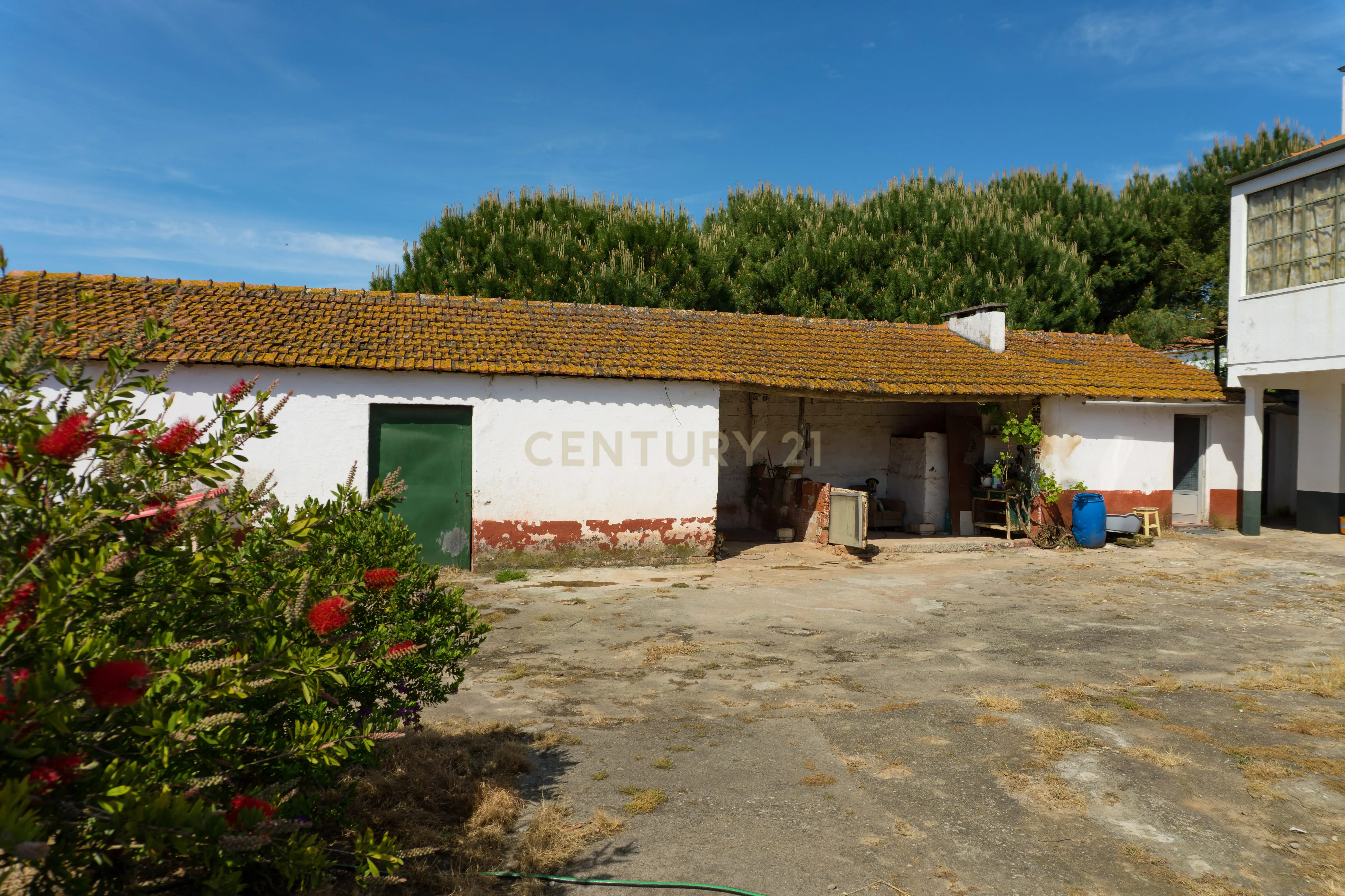 Moradia com Terreno e Anexos no Sobral do Parelhão – Bombarral - Image 41