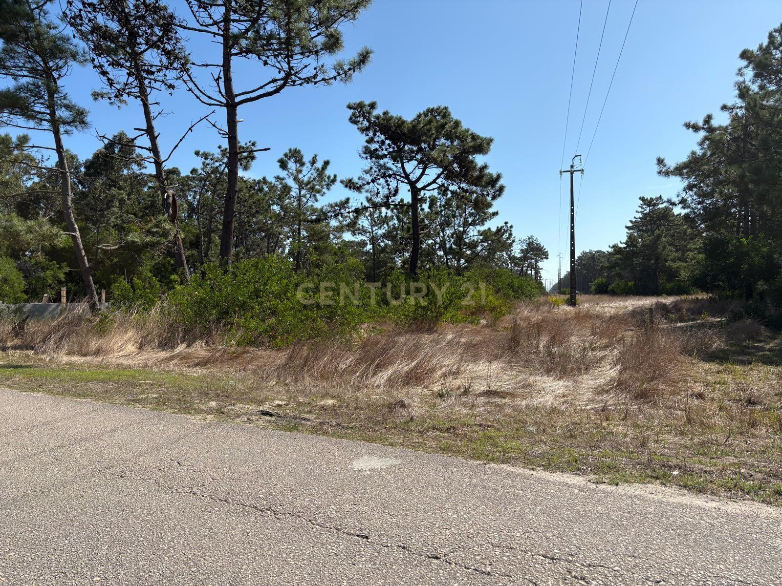 Fotografia 8 de Excelente terreno para construção da sua moradia de sonho!