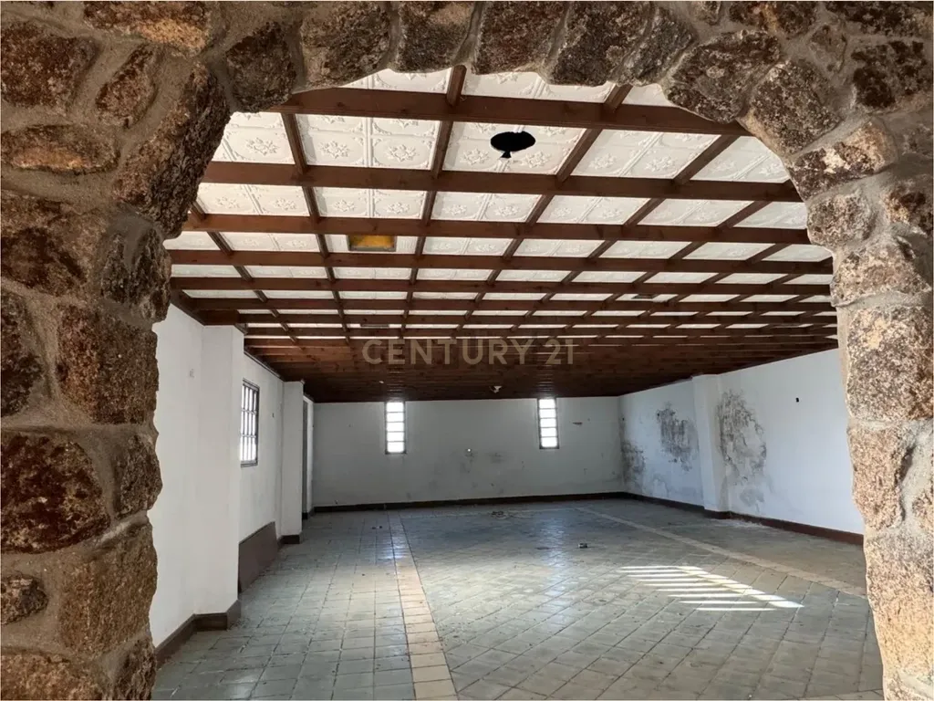 - Image 12