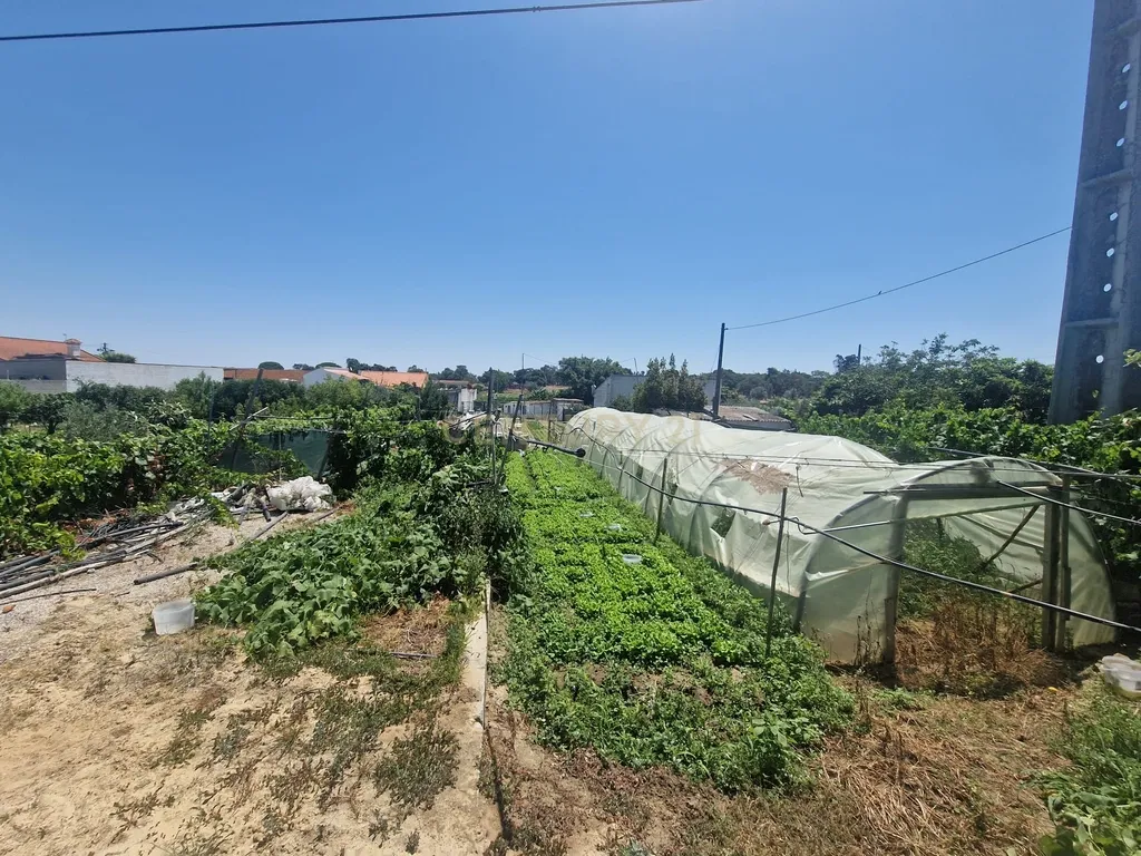 Terreno à venda em Gâmbia Pontes Alto da Guerra, Setúbal - Image 5