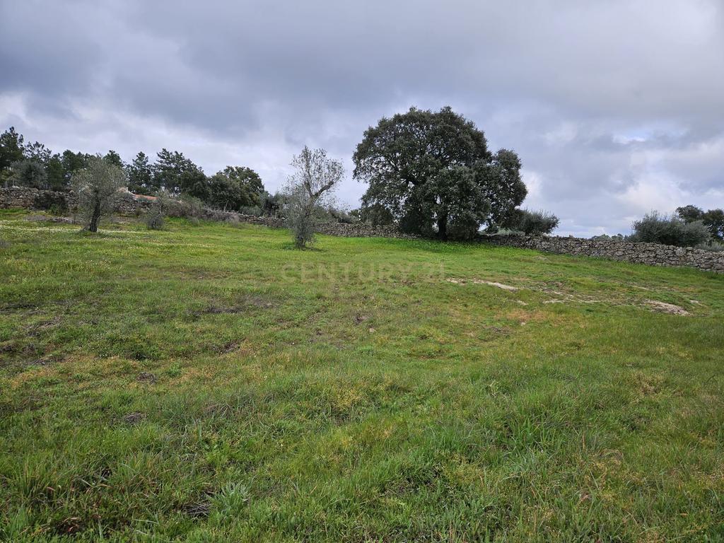 Quintinha na Lousa, Castelo Branco - Image 3