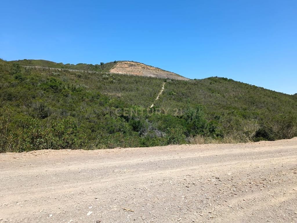 Terreno rústico de 112.000m2 em Ladeiras - S. Bartolomeu de Messines  - Silves - Image 11