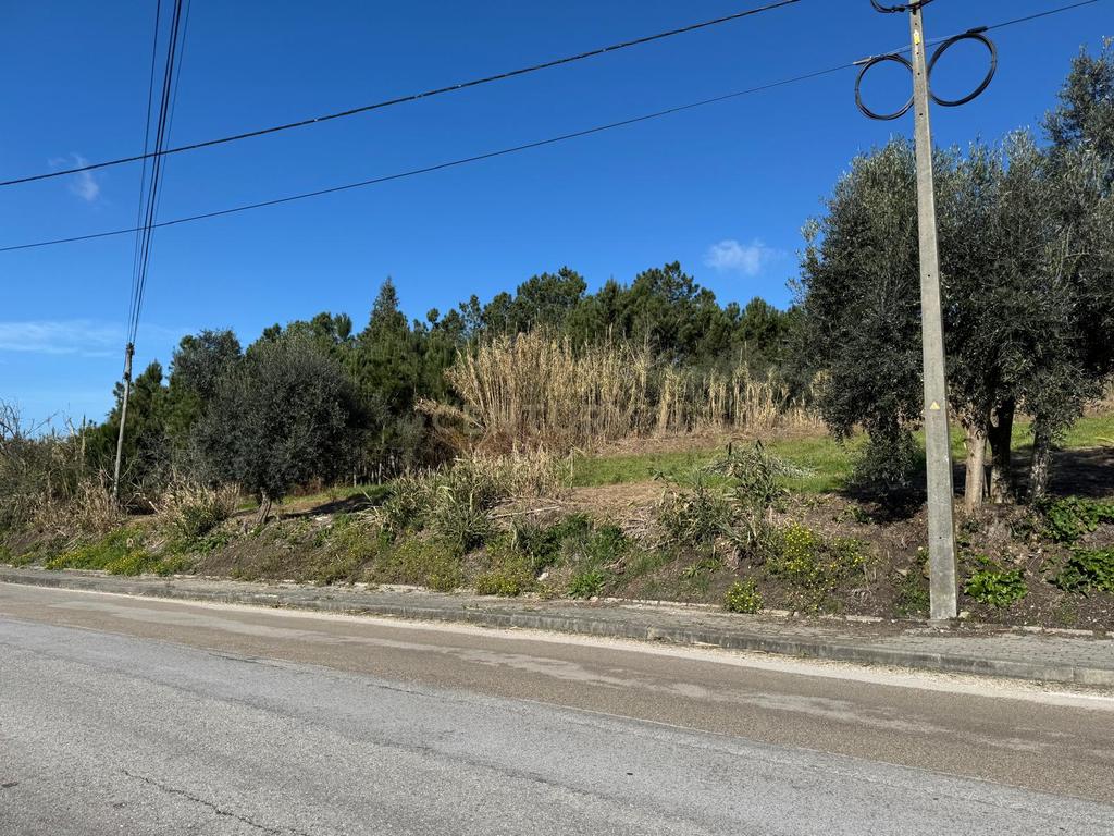 Terreno Panorâmico em Pombal - 1020m² por 34.500€ - Image 11