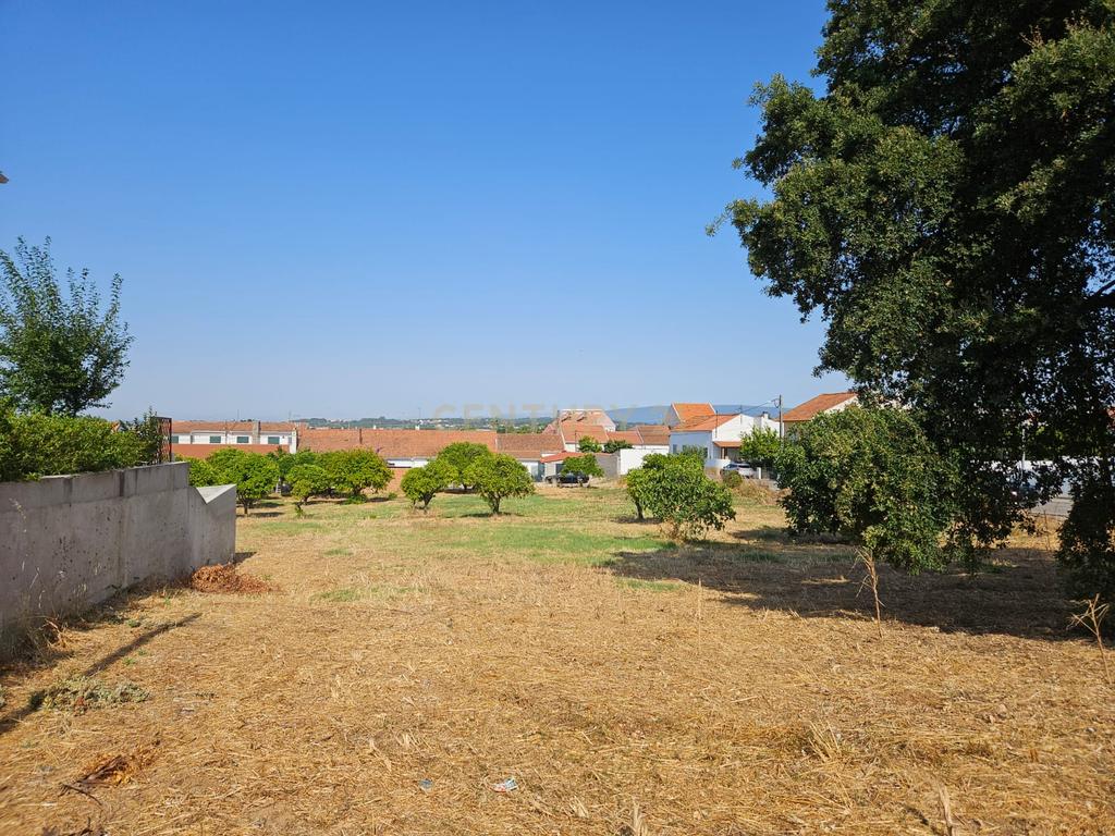 Terreno Urbano em Atalaia Vila Nova da Barquinha - Image 7