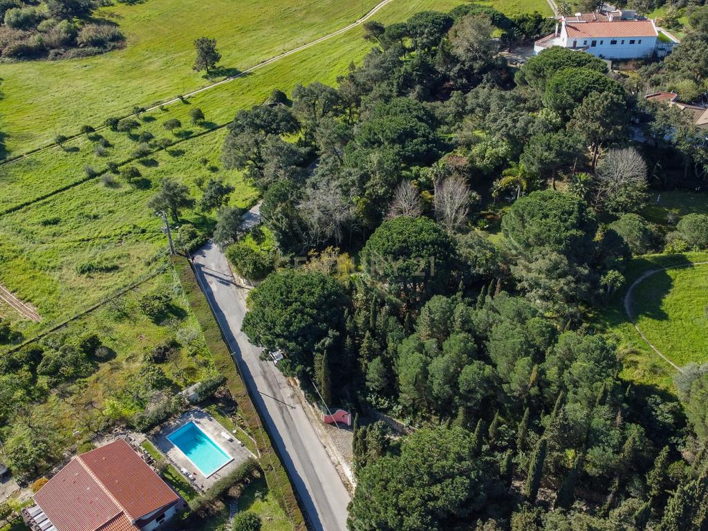 🏡 Terreno para Construção – 2.746 m² | Oportunidade Única Perto de Setúbal! 🌿 - Image 42