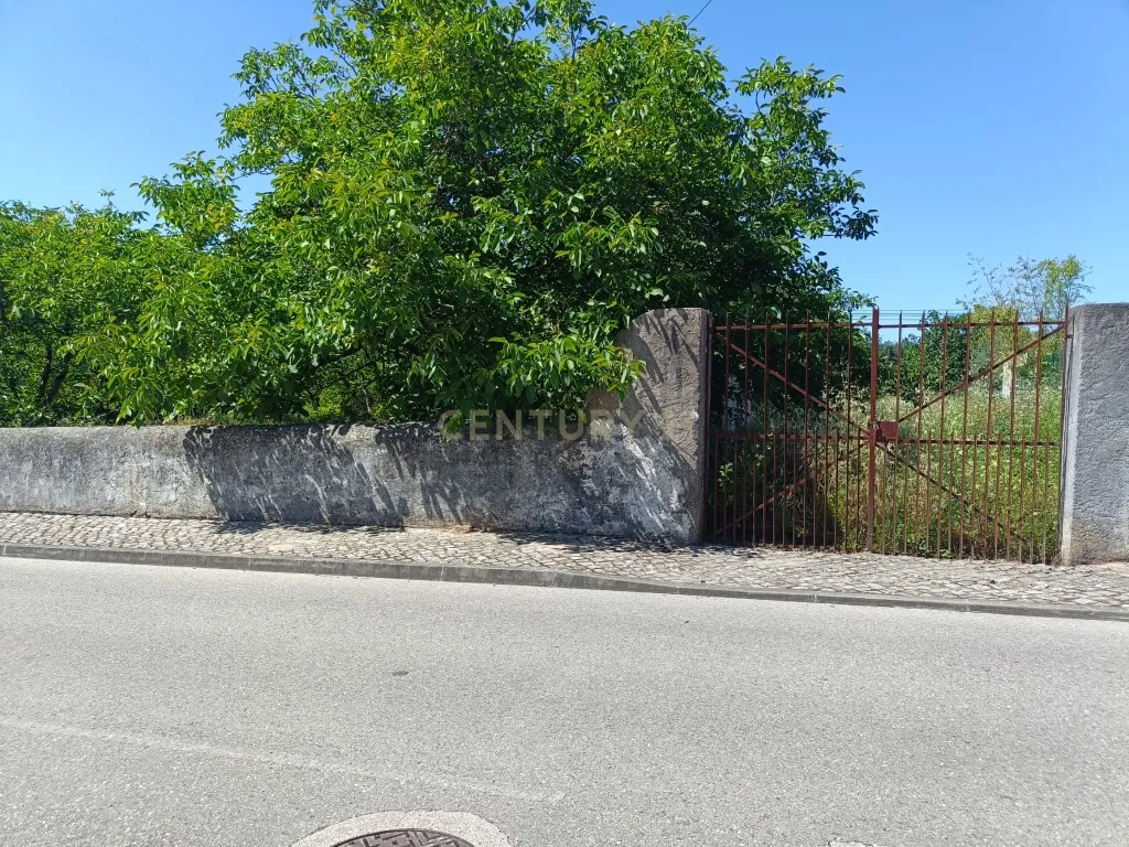 Terreno Viabilidade Construção em Espinhal, Penela – Excelente Oportunidade de Investimento - Image 3