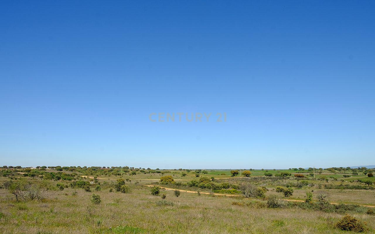 Fotografia 7 de Terreno Misto em Monsaraz, Reguengos de Monsaraz