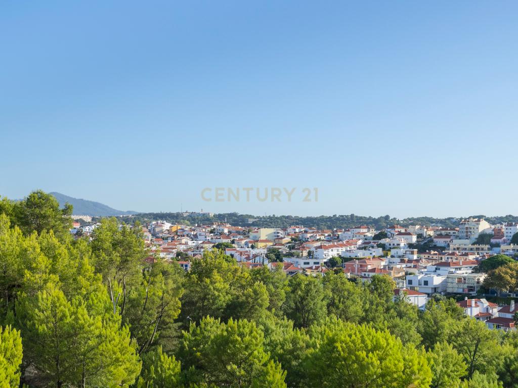 Apartamento T1 + Escritório totalmente remodelado - Image 12