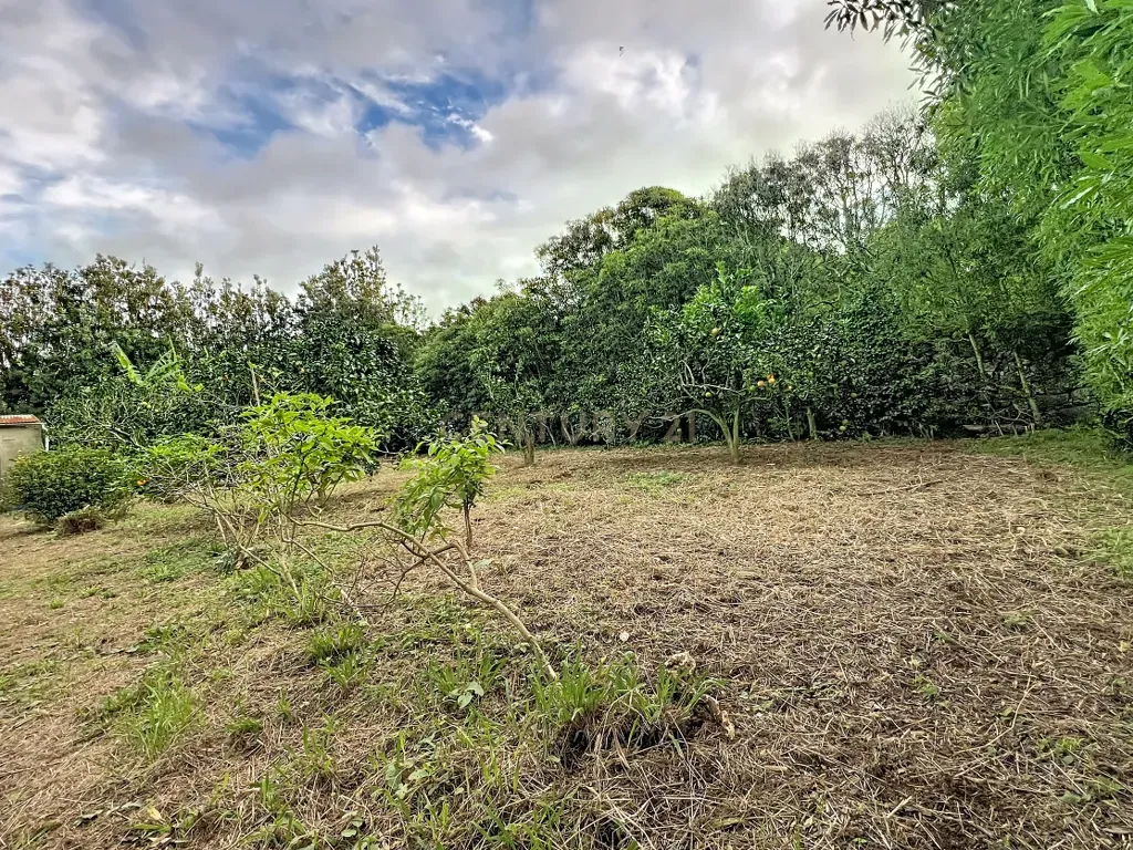 Fotografia 12 de 🍃 Quinta no Pico da Pedra – Refúgio com 1.400 m² de Tranquilidade