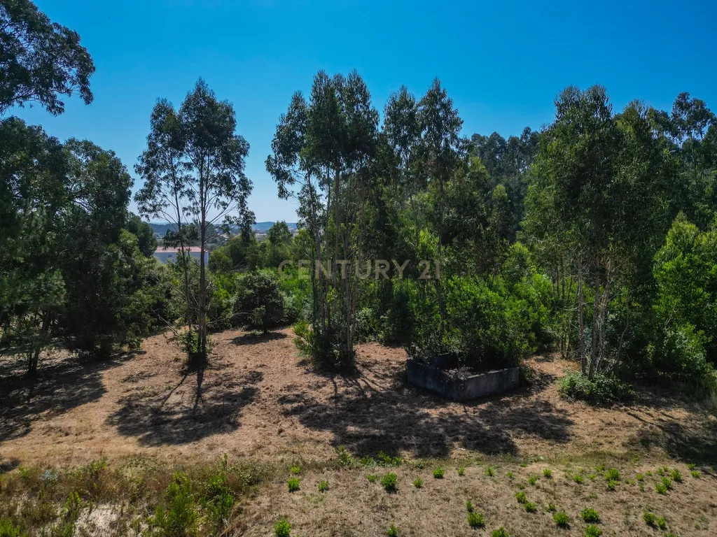 Terreno para investimento em Lavos, Figueira da Foz apenas a 5km da praia - Image 11