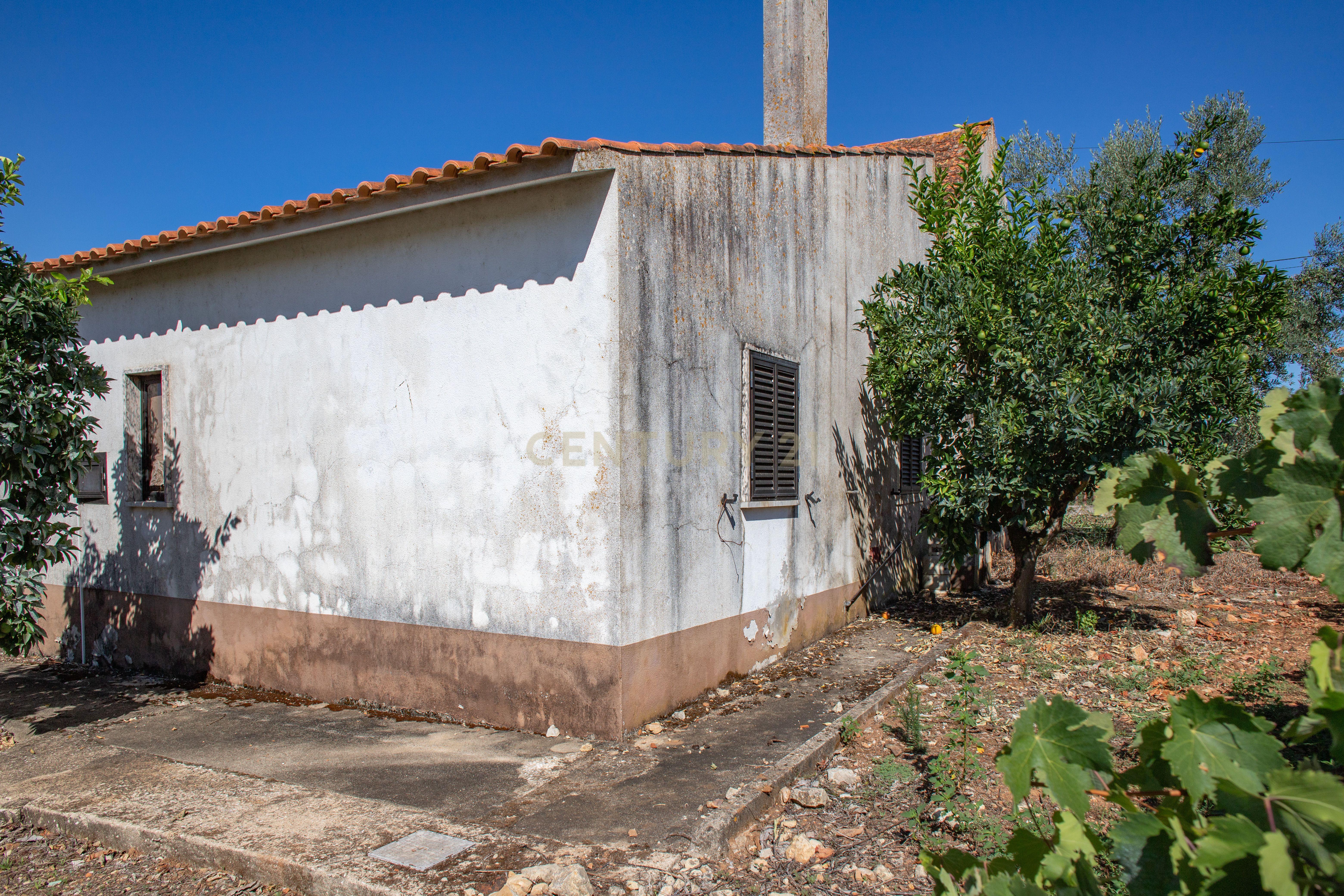 Moradia T5 à venda em Areias e Pias, Ferreira do Zêzere — foto 17
