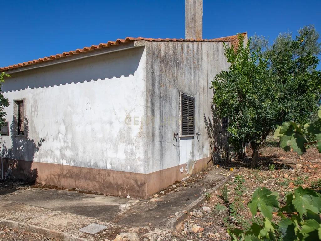 Duas moradias em Avecasta Ferreira do Zêzere - Image 17