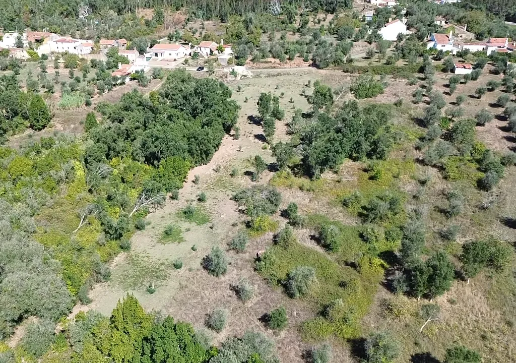 Terreno com Ruína com Vista Panorâmica em Ferreira do Zêzere - Image 9