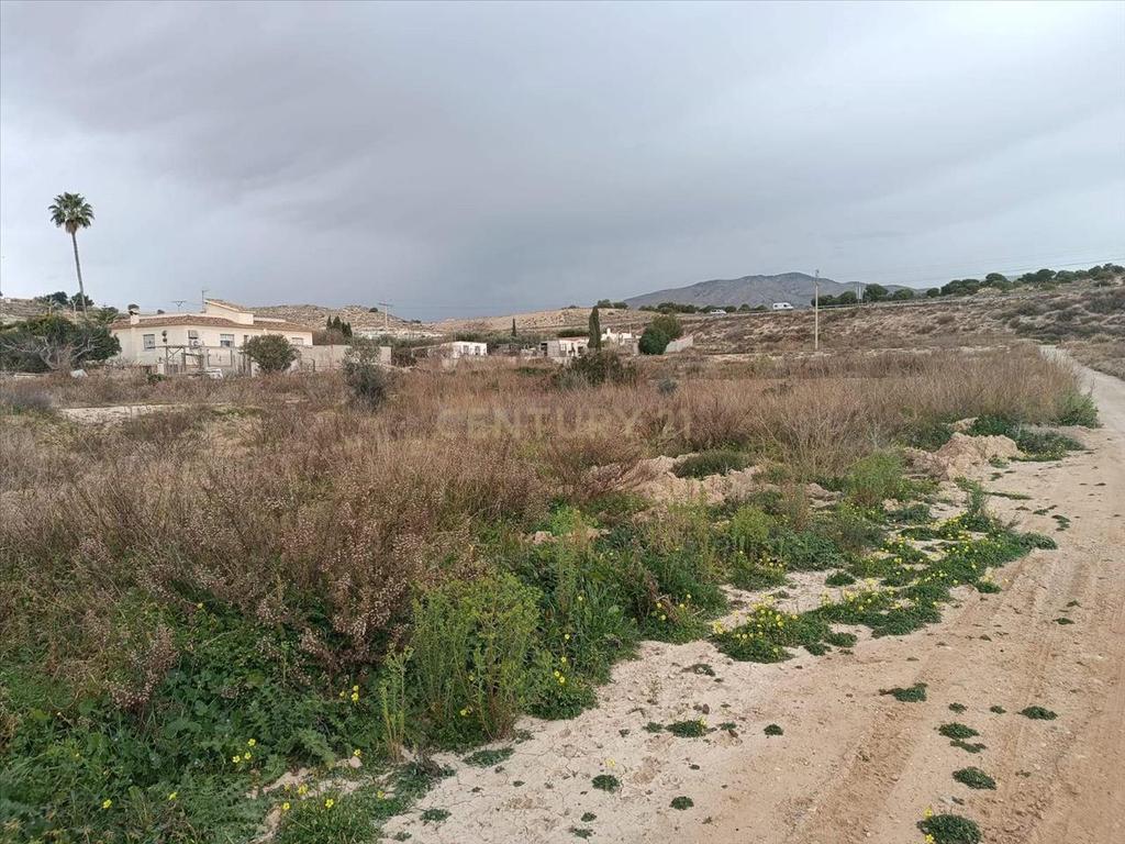 Terreno - Image 1