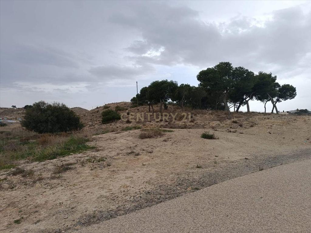 Terreno - Image 2