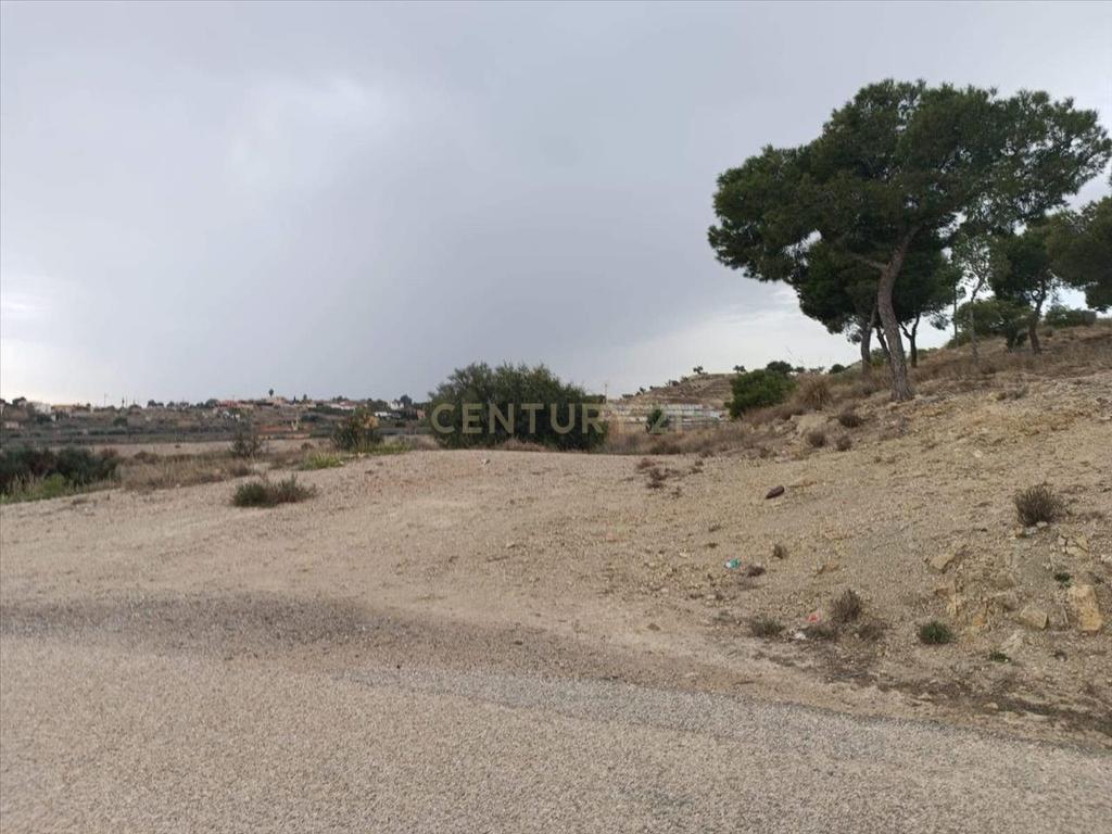 Terreno - Image 3