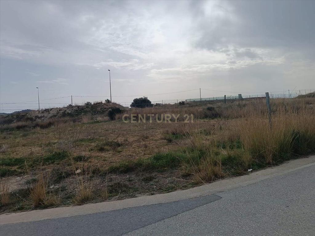 Terreno - Image 5