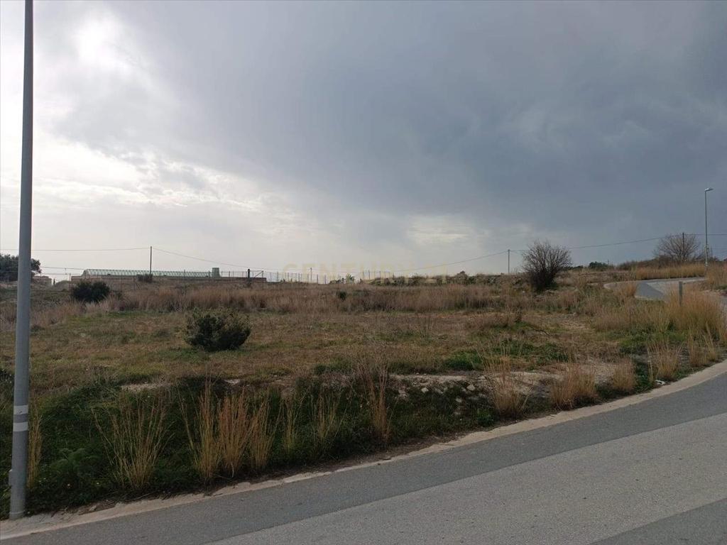 Terreno - Image 6