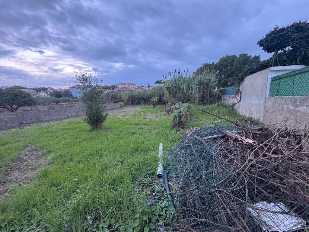 3 Moradias com terreno de 1079m2(não inclui a área de implantação das moradias) - Image 24