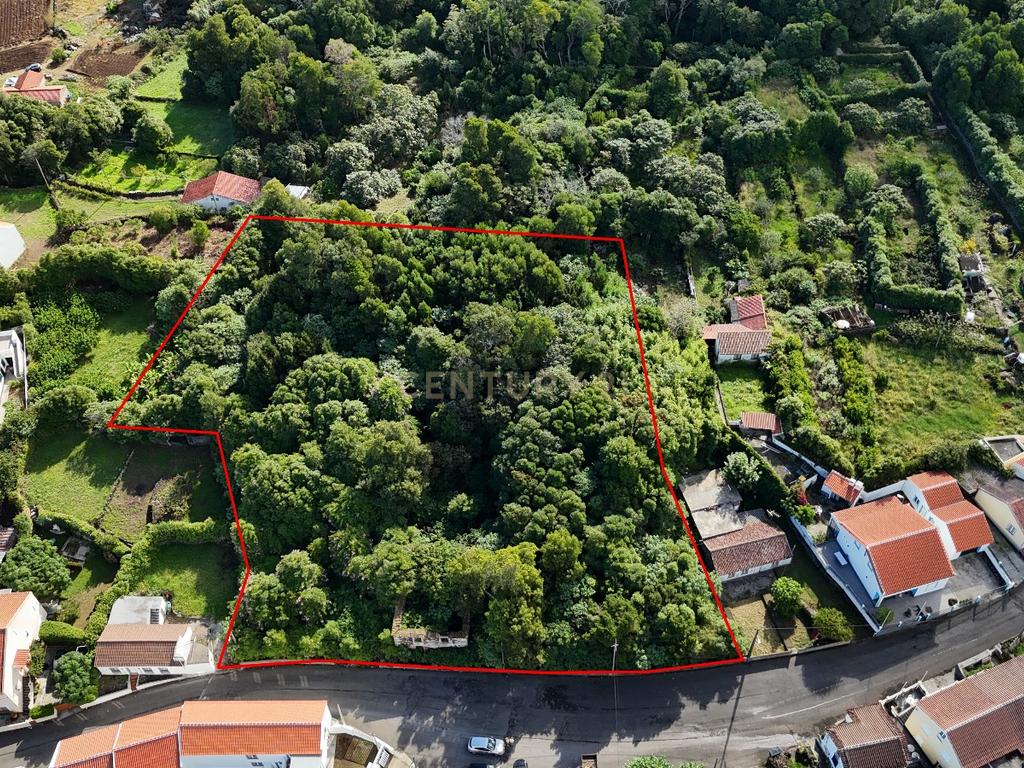 Oportunidade Única: Casa em Ruína com Amplo Terreno – Rua do Bairro de São Pedro, Biscoitos - Image 3