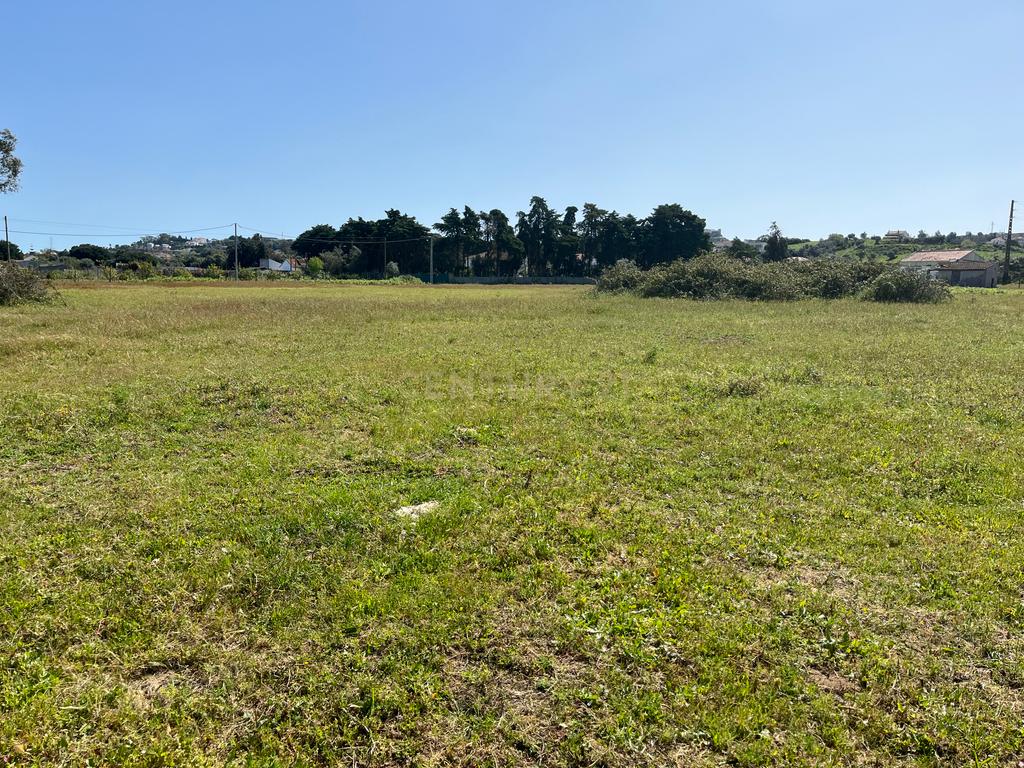 Terreno rustico em Avos em Palmela - Image 5