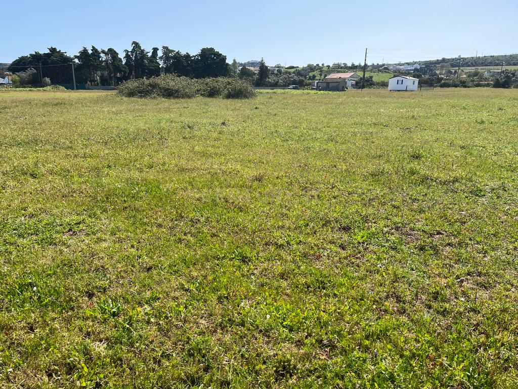 Terreno rustico em Avos em Palmela - Image 3