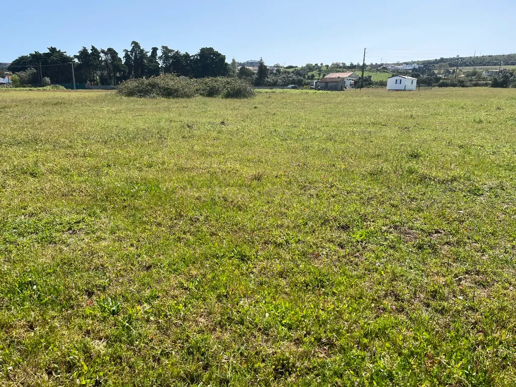 Terreno rustico em Avos em Palmela - Image 3