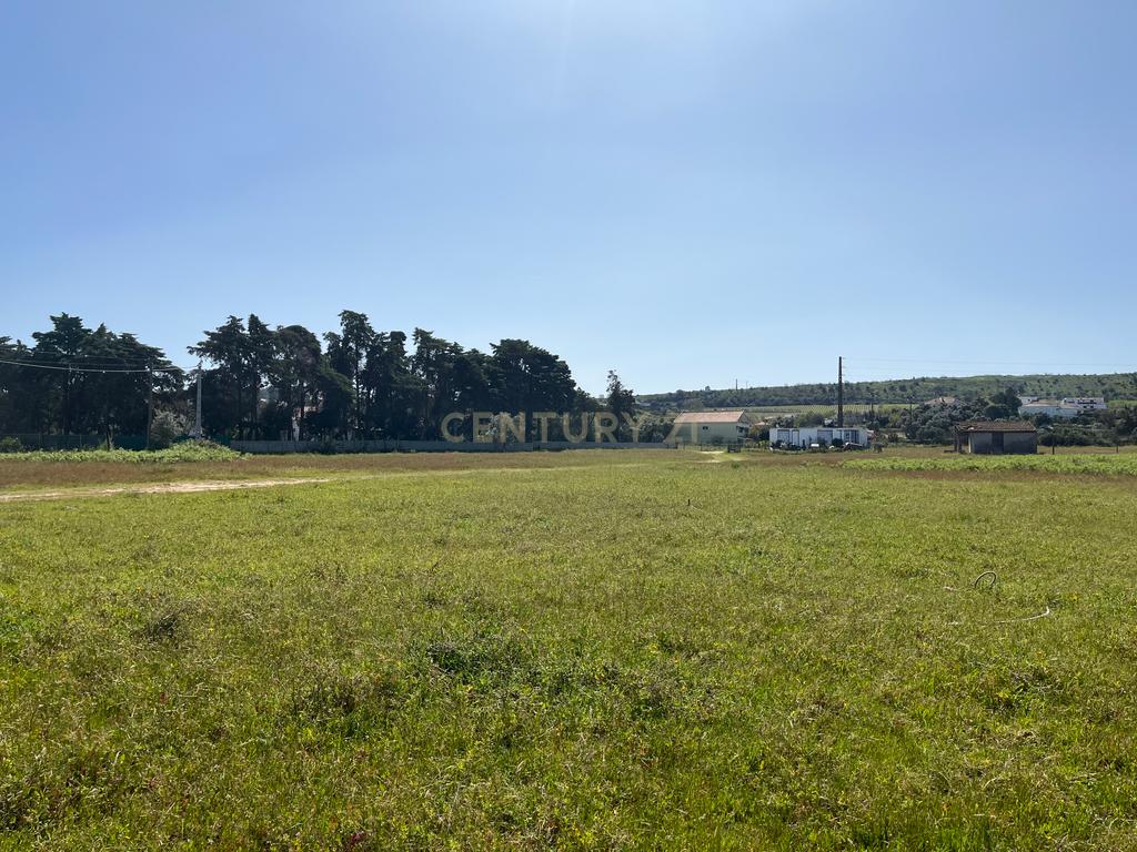 Terreno rustico em Avos em Palmela - Image 2