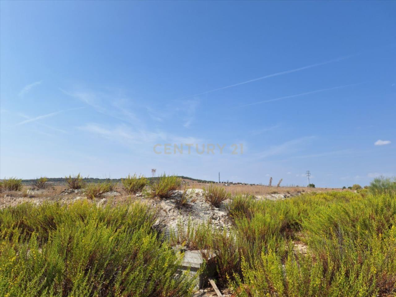Terreno - Image 4