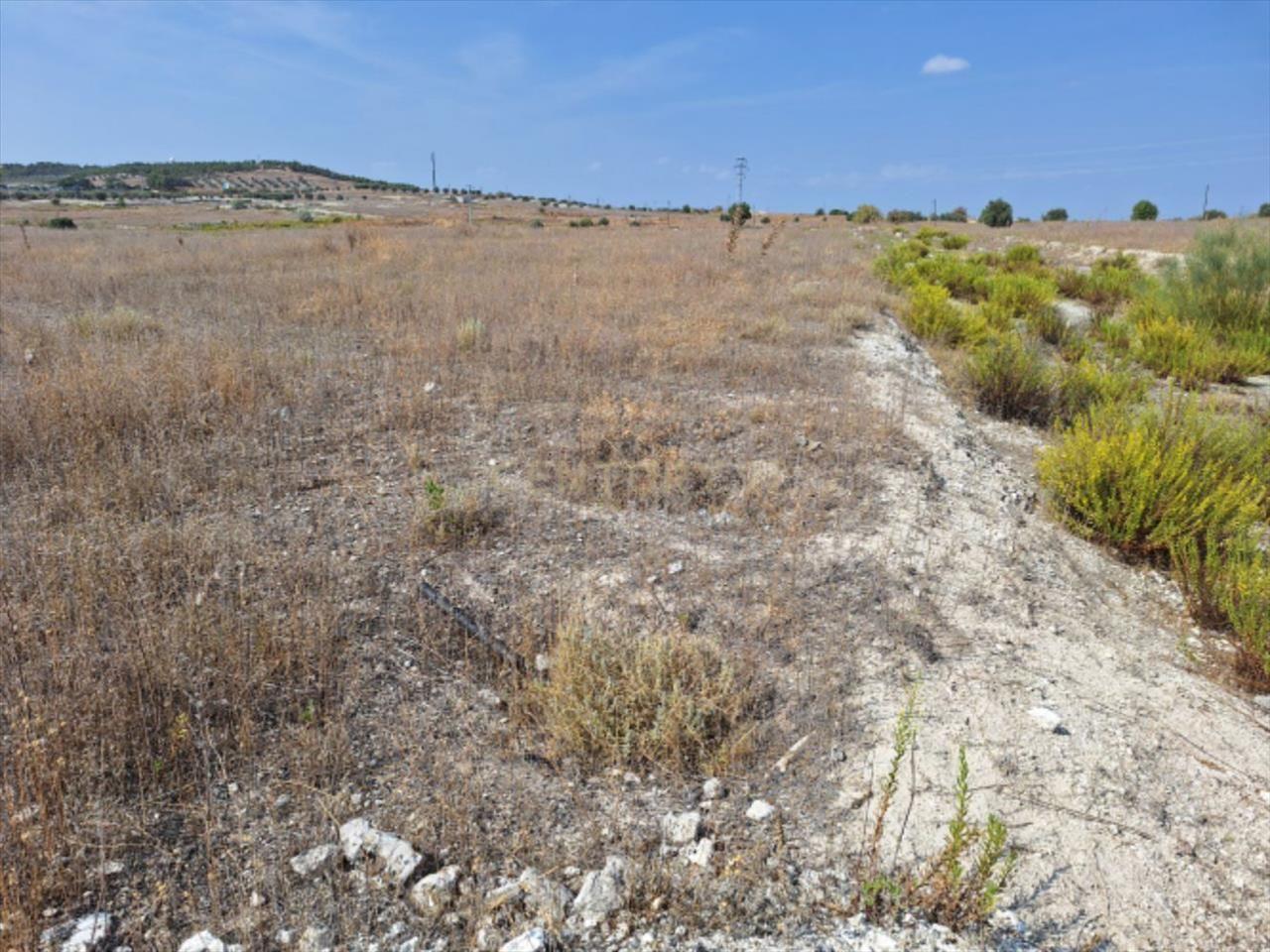 Terreno - Image 5