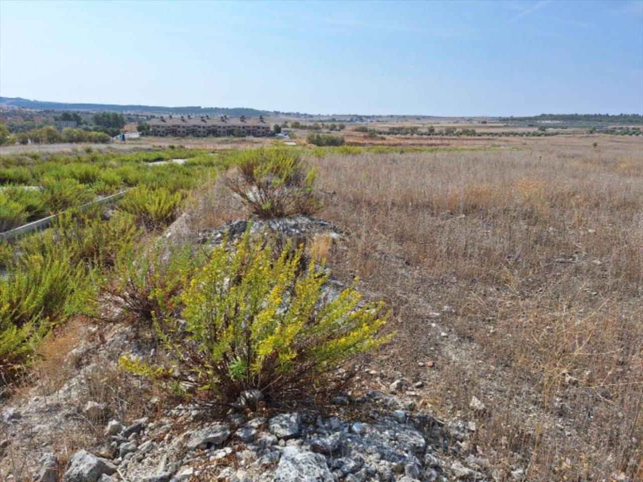 Terreno - Image 6
