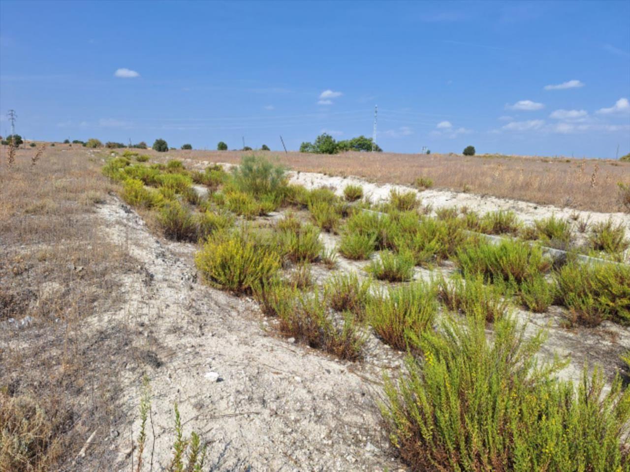 Terreno - Image 8