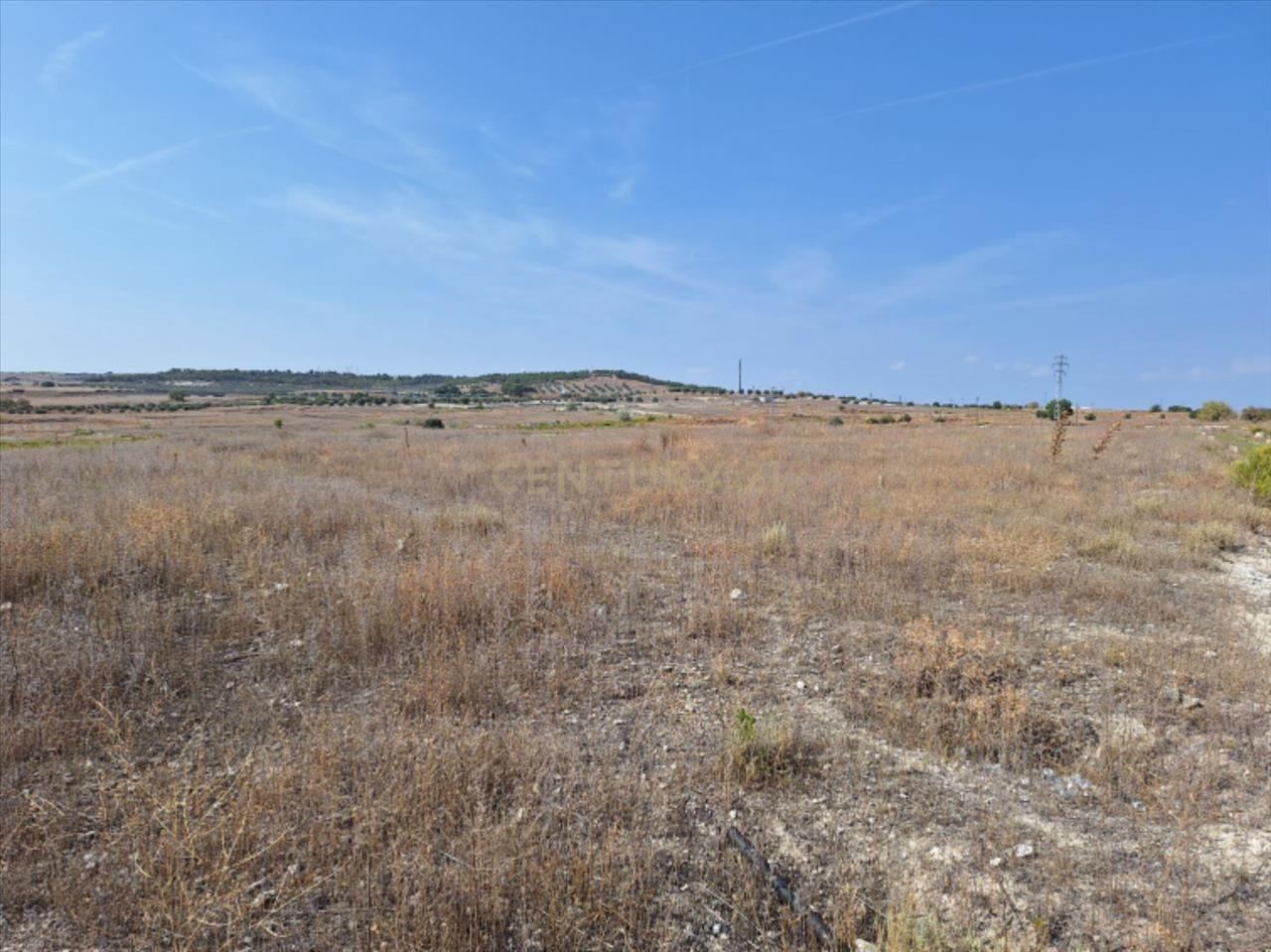 Terreno - Image 7