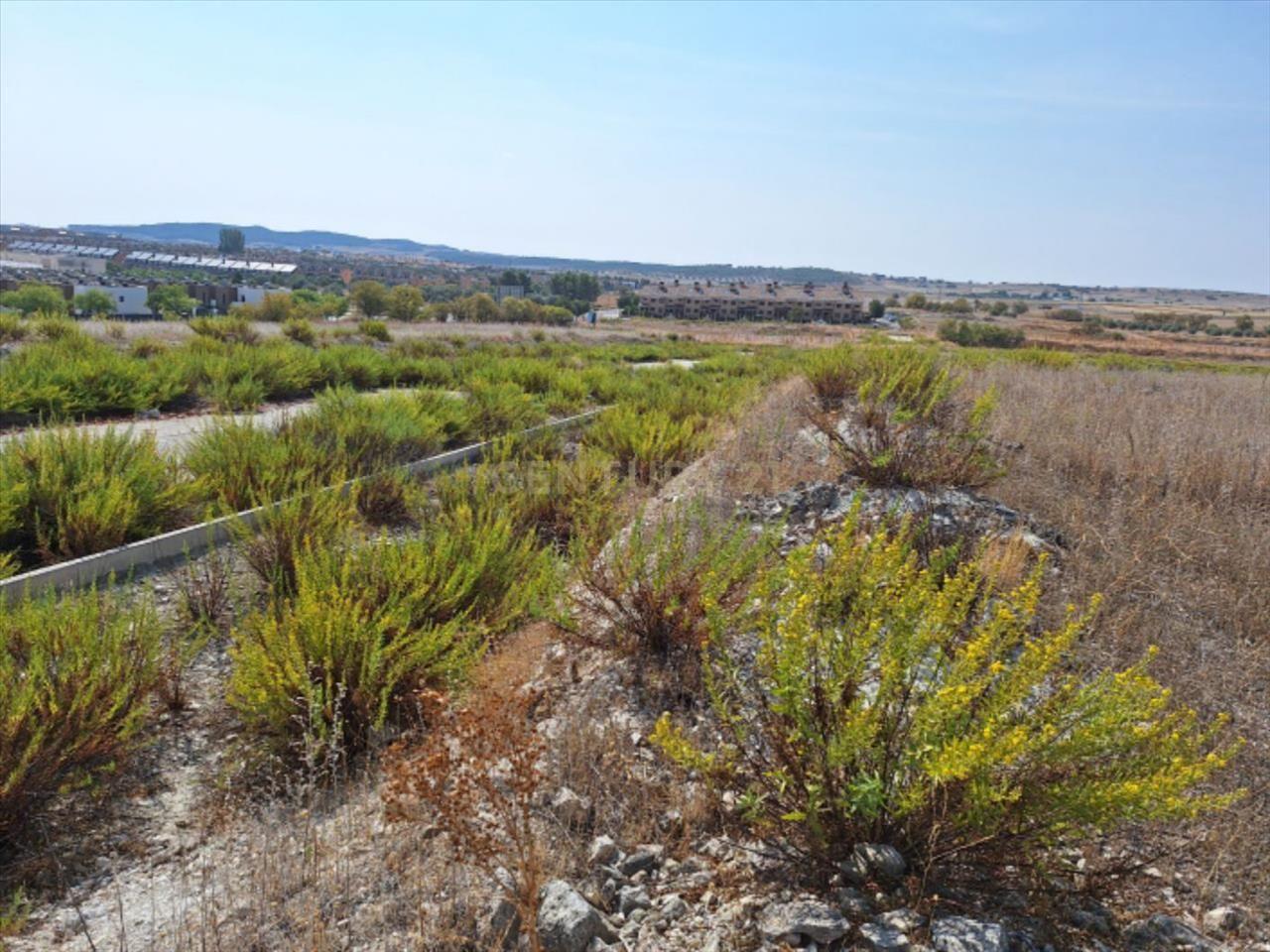 Terreno - Image 9