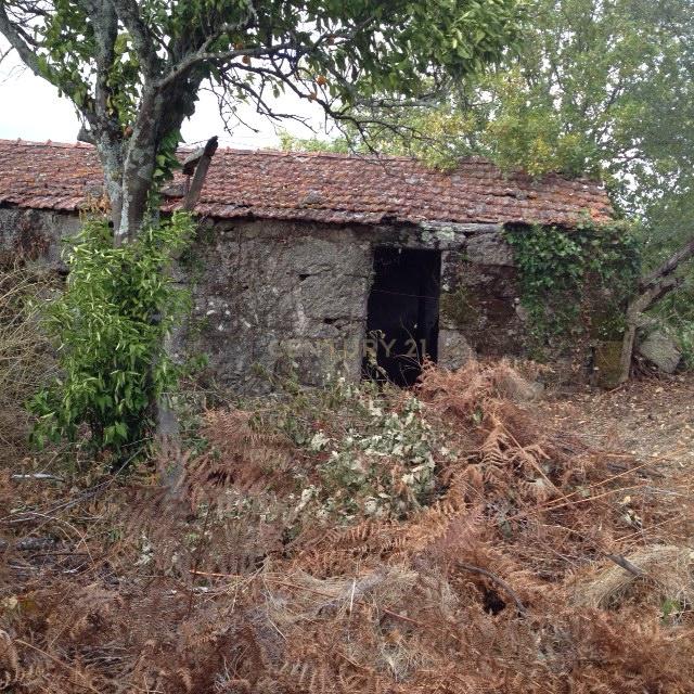 Moradia com terreno para recuperar em Cinfães - Image 6