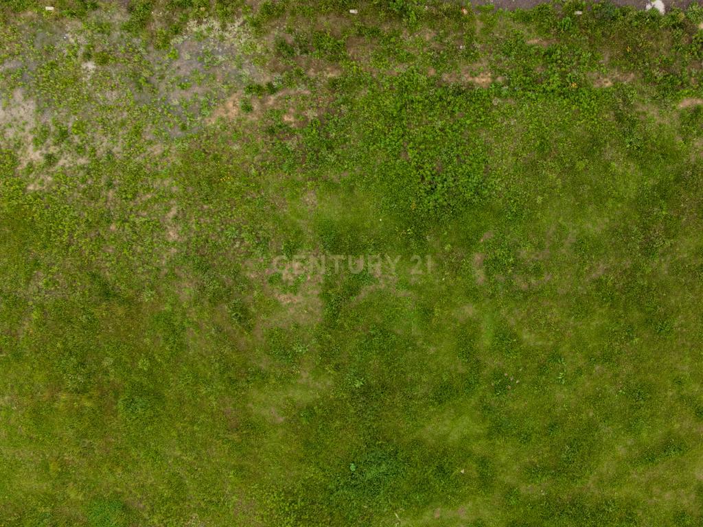 🏡 Lote para Construção – Matriz, Ribeira Grande - Image 10