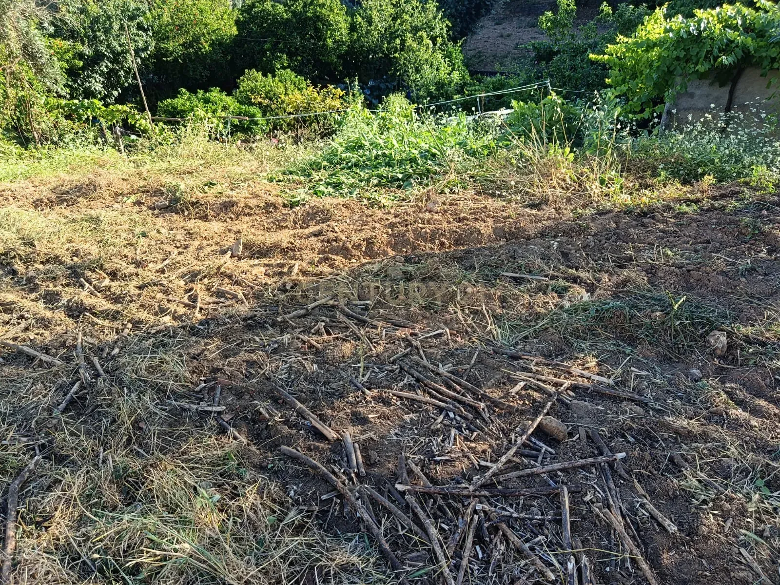 Moradia T3 à venda em Fratel, Vila Velha de Ródão — foto 34