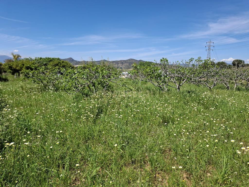 Encantadora Propriedade com Vista Panorâmica em Málaga - Image 14