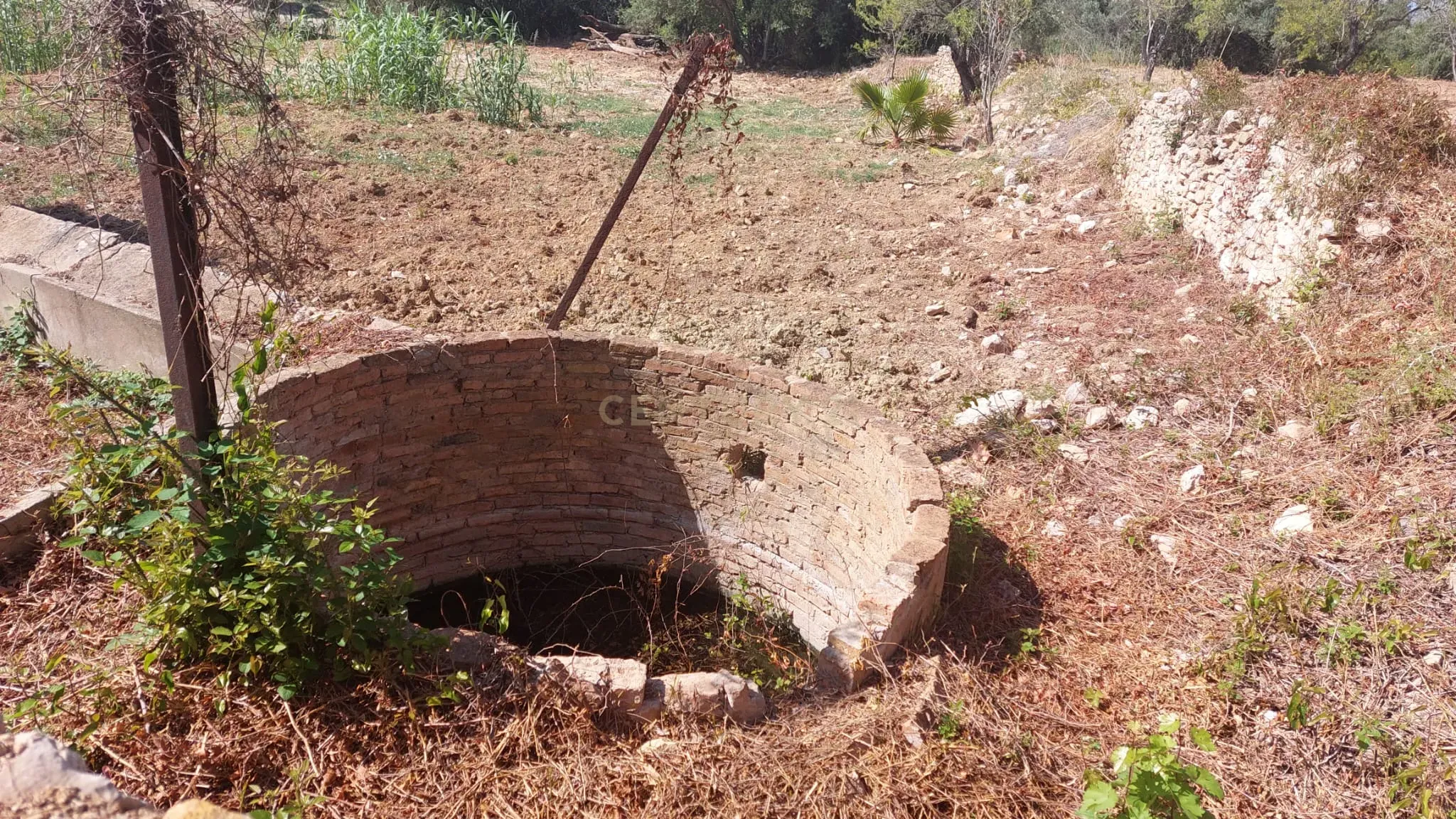 Fotografia 3 de Terreno Rústico com 2.280 m² em Santa Bárbara de Nexe – Sítio do Canal