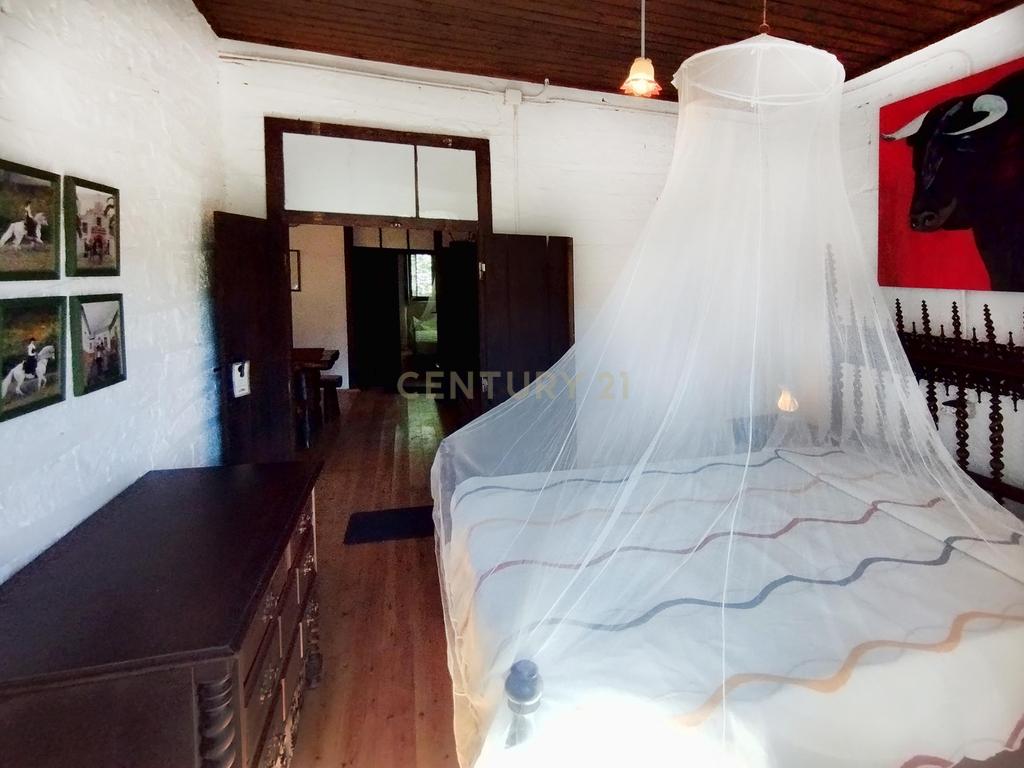 Propriedade Exclusiva com Quase 13 Hectares em Monchique, Palheiros - Image 17