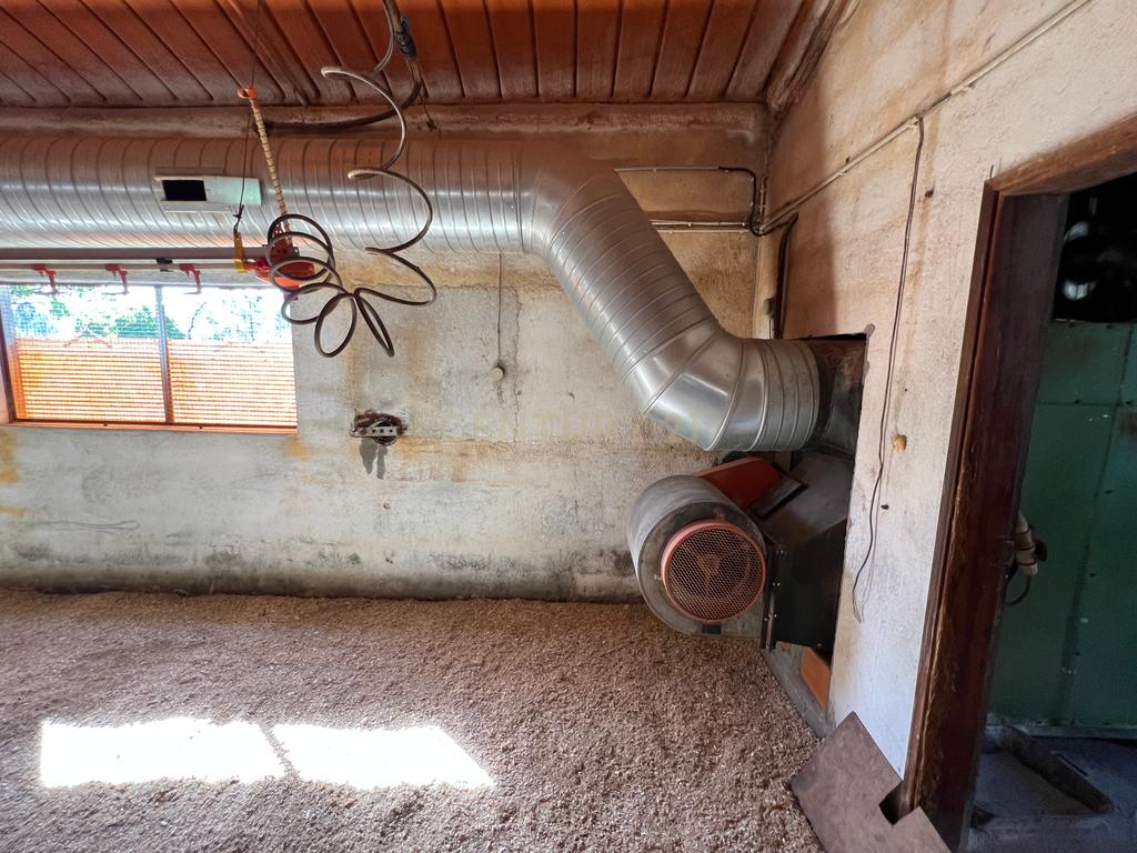 Terreno de 7.500 m² situado próximo ao lago, contendo uma casa a ser restaurada e um aviário automatizado altamente rentável. - Image 25