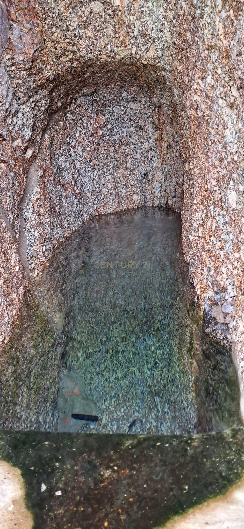 Moradia para reconstrução em Lardosa, Soalhães - Image 9